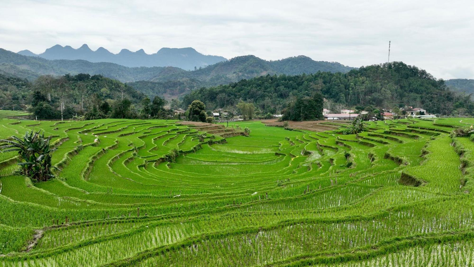 Апартаменти Thavill Retreat Hagiang Хазянг Екстер'єр фото