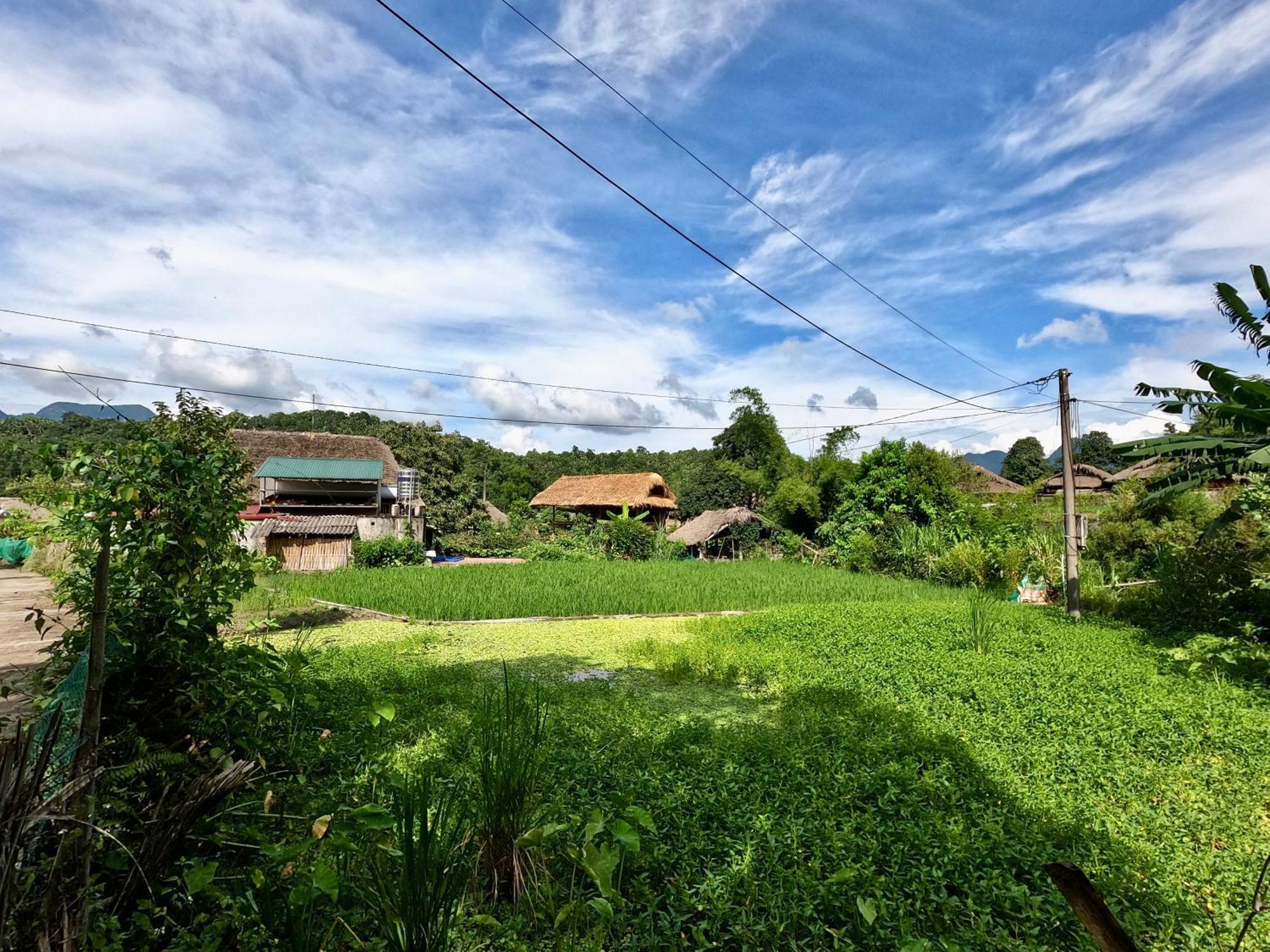 Апартаменти Thavill Retreat Hagiang Хазянг Екстер'єр фото