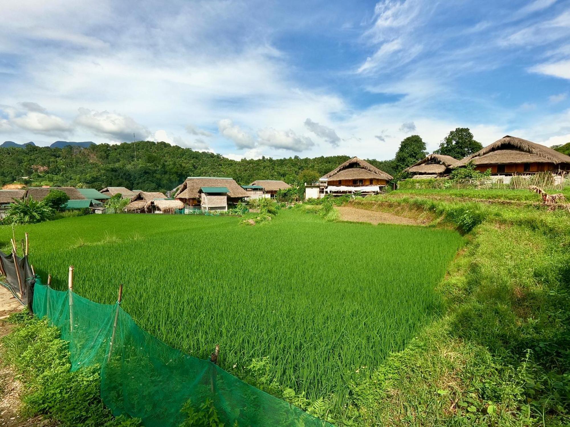 Апартаменти Thavill Retreat Hagiang Хазянг Екстер'єр фото